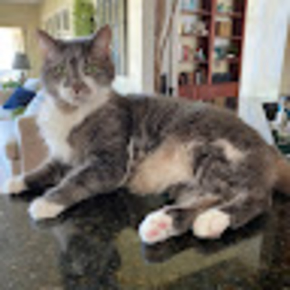 Meet your Posher, Trudy